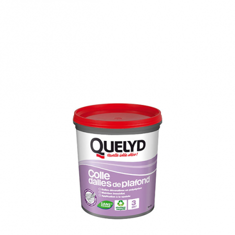 30601716 Coller des dalles au plafond 1 Kg